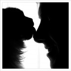 Amore felino Amore felino