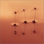 tre sorelle... tre sorelle...