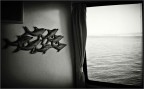 Voglia di mare Voglia di mare