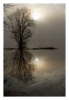 Panorama nel padule di Bientina (Pisa), interamente sommerso dopo le recenti piogge
Aggiungo i dati di scatto: 400 ISO (dimenticato di cambiare, sarebbe stato meglio 100 ISO...), correz. esposiz. -1 eV; automatismo con priorit di diaframma, f/5.6; 1/6400, foc. 35 mm