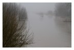 Padule di Bientina dopo le recenti piogge incessanti. Uscita fotografica in compagnia di Brunomar.
f/5.6, 1/400, ISO 400, foc. 67 mm (equiv. 107 su full frame), 12/2/2014 ore 7:49:31