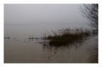 Il territorio del padule di Bientina allagato dalle piogge. (uscita fotografica con Brunomar, mattina presto - presto almeno per me, che sono pigro - e mattinata fredda e nebbiosa. Un incanto, per).
f/4, 1/800 (-1 esp), ISO400, foc 24 mm (equiv. 38 mm su full frame), 12/2/2014 ore 7:43:13