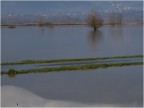 A spasso per il padule allagato