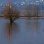 Les pieds dans l'eau Les pieds dans l'eau