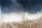 il potere della luce il potere della luce
