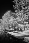 IR Park
