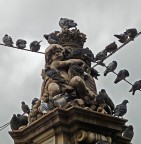 Torino - vicinanze del Duomo