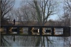 Jogging sull'Adda