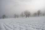 campi di neve campi di neve