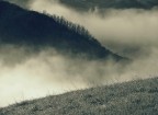 Questa immagine  parte di un percorso fotografico che ha per tema le atmosfere ambientali della mia montagna,l'Appennino Reggiano.
Grazie a tutti per la gentile attenzione.