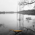 Cosa ci fa una carota nel lago del Segrino, ovvero omaggio a Cosa ci fa una carota nel lago del Segrino, ovvero omaggio a