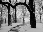 Un'arco di trionfo per la neve olimpica.