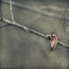 Come una spada Come una spada