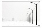 neve neve