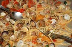 sapori,profumi e colori sapori,profumi e colori
