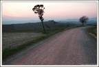 2 alberi e poco pi...