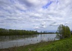 Sull'argine dell'Adige Sull'argine dell'Adige