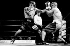 BOXE BOXE