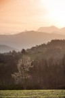 L'inizio della Primavera L'inizio della Primavera