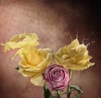 Doppio splash(ludica divagazione#2) Doppio splash(ludica divagazione#2)