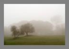 05042014_DSCF1209-2