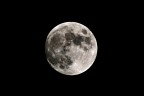 D7000 500 f/8 catadiottrico
1/250 f/8 100ISO