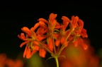 D7000 90 f/2.8
4s f/4.8 200ISO
