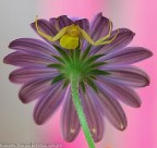 questa è casa mia questa è casa mia