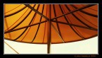 yellow...ORANGE