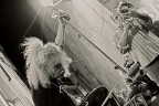Musicians Musicians
