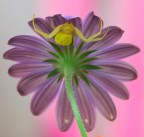 questa è casa mia (ri proposta in formato piu' grande) questa è casa mia (ri proposta in formato piu' grande)