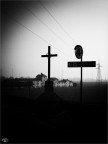 st