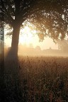 Luci dell'alba Luci dell'alba