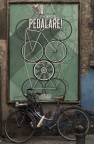 Pedalare! Pedalare!
