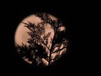 La luna sullo sfondo La luna sullo sfondo