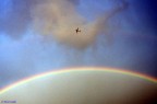 E' passato in quel momento, ha virato per evitare il piovasco, e io ho scattato con quello che avevo...
Stavo fotografando l'arcobaleno, completo da parte a parte, un immenso arco nel cielo sopra Torino quando  apparso l'aereo.
Stavo fotografando con il DT 11-16, quindi questo  un crop (molto spinto), che per mi ha ispirato.