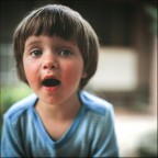 Estate 1985 Estate 1985