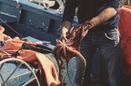IL PESCATORE IL PESCATORE