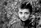 a Davide