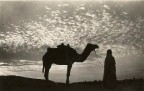 Campagna d'Africa Orientale: genti e paesaggi