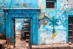 Colori