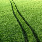 the explorer the explorer