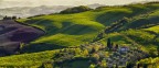 BELVEDERE 2