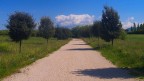 Oggi ho provato a giocare un po' con l'iperfocale e ho pure lasciato il cielo al suo posto. :)