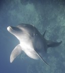 senza titolo senza titolo