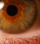 Autoritratto Autoritratto