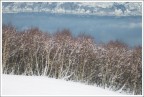 Affollamento in riva al lago... Affollamento in riva al lago...