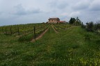 In collina In collina