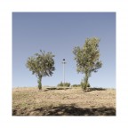 TRIT T ICO TRIT T ICO