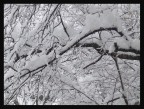 nevicata del 27 gennaio nevicata del 27 gennaio